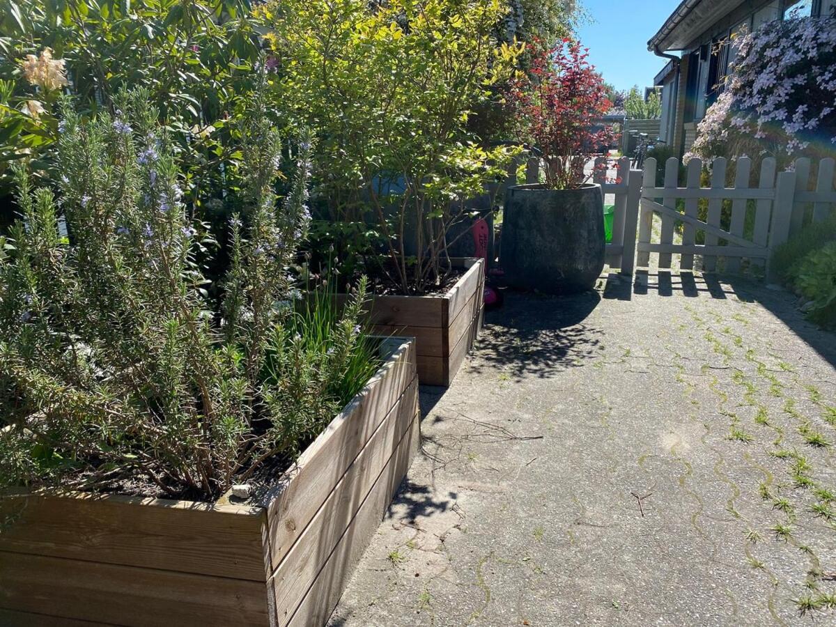 Pousada Family House With 3 Bedrooms, Garden & Free Parking Copenhaga